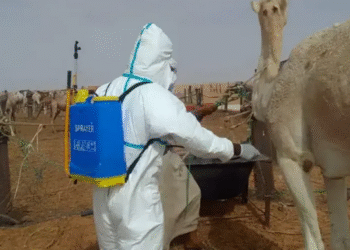 FIEVRE DE LA VALLEE DU RIFT (FVR) 