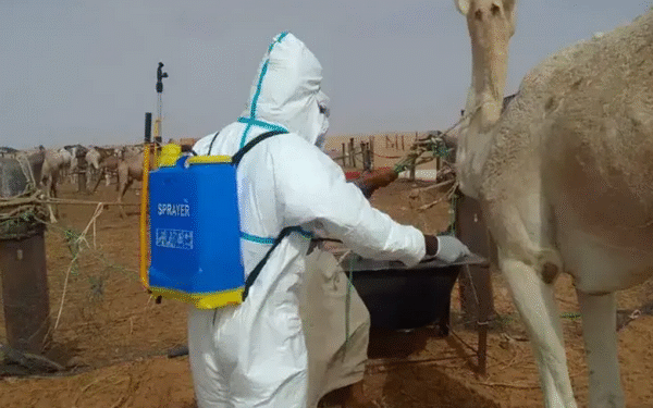 FIEVRE DE LA VALLEE DU RIFT (FVR)