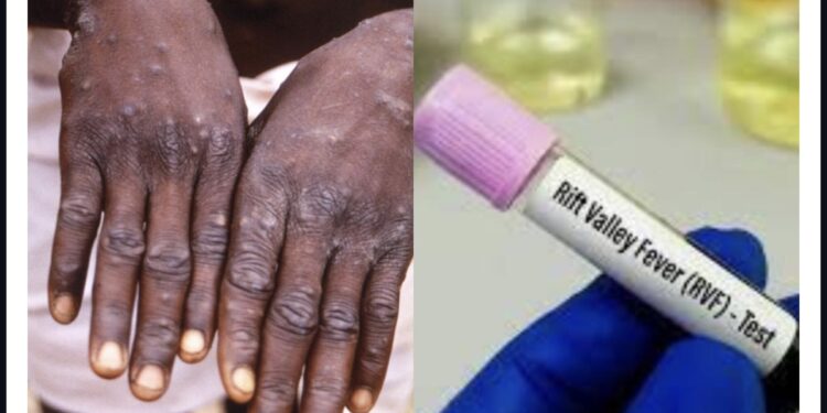 POINT DE SITUATION SUR LES EPIDEMIES DE LA FIEVRE DE LA VALLEE DU RIFT (FVR) ET DE MPOX