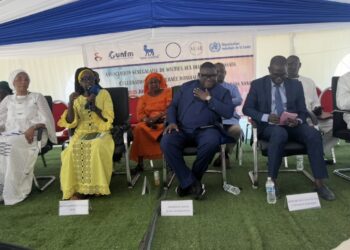 JOURNEE MONDIALE DU DIABETE