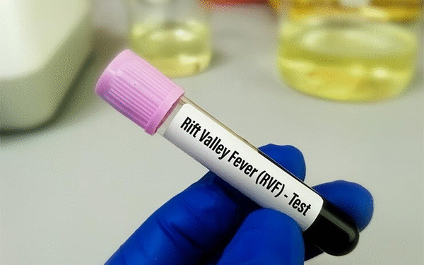 Fièvre de la Vallée du Rift (FVR)