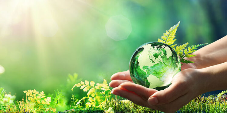 miniature_article_one_health