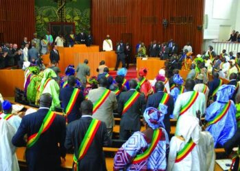 AFFAIRE SOFTCARE : L’Assemblée nationale met en place une mission d’information parlementaire