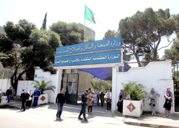 ALGERIE : 30 cas de leptospirose détectés à Tizi Ouzou