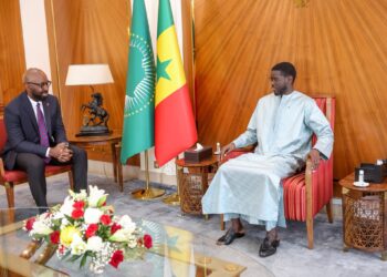 INDUSTRIE PHARMACEUTIQUE : Le Président de la République reçoit le Dr Eugene Nwoke, Directeur général de Roche pour l’Afrique francophone