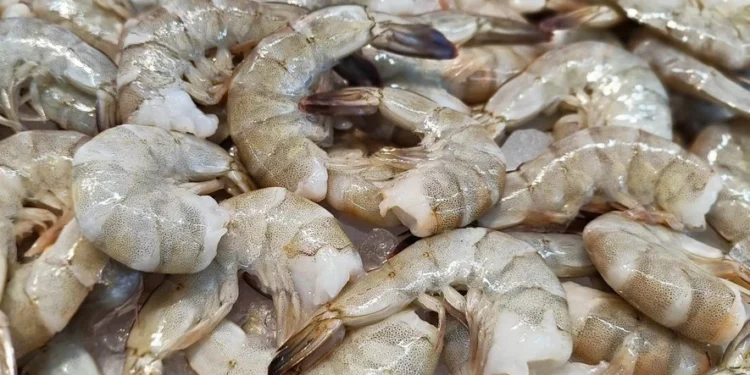 Sénégal : inquiétudes autour du « virus des crevettes » et ses possibles effets sur la vue