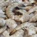 Sénégal : inquiétudes autour du « virus des crevettes » et ses possibles effets sur la vue