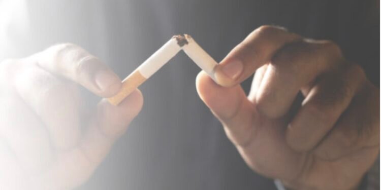 Tabagisme au Sénégal : près d’un demi-million d’adultes consomment du tabac en 2023